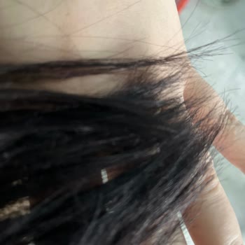 Palette 4.0 Kahve Hk.