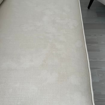 Divanev Leke Veren Koltuklarla İlgilenmiyor