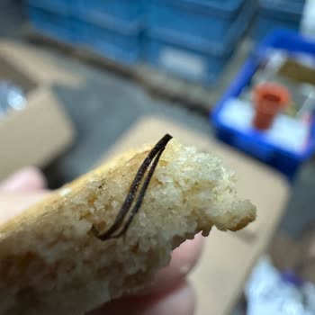 Eti Gıda Bisküvi İçinden Beklenmedik Madde Çıkması