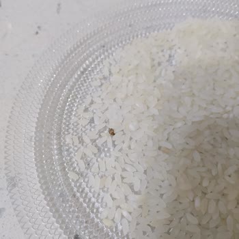 A101 Yayla Osmancık Pirinç Şikayet