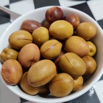 Gülcan Hanımın Çiftliği Kalitesiz Zeytin Hüsranı!