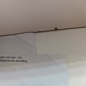 Palmera Mobilya Mersin Uzayan Teslimat