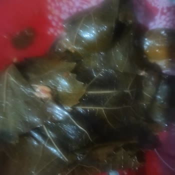 Dalından Gelen Tazelik (Instagram) Yanılttı