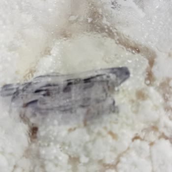 Gimpa Gross Aldığım Ürünlerde Tarih Sorunu