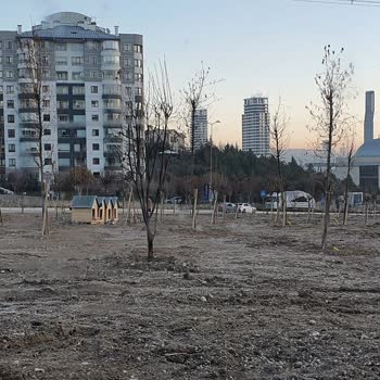 Çankaya Belediyesi Ve Kaçak Köpek Kulübeleri Hk.