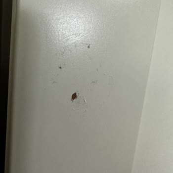 IKEA Ürün Kusurunu Telafi Etmiyor