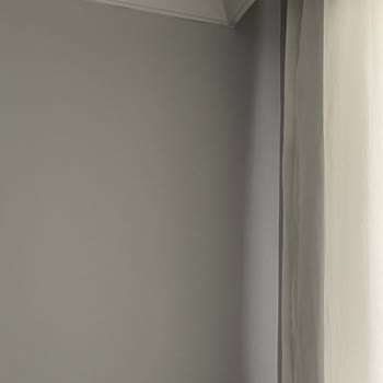 Marshall Güz Yağmuru Rengi Pişmanlığı