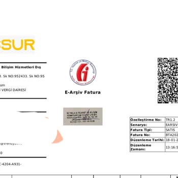 Trendyol E-Ticaret Sitesinde Yaşanan Müşteri Memnuniyeti Sorunları