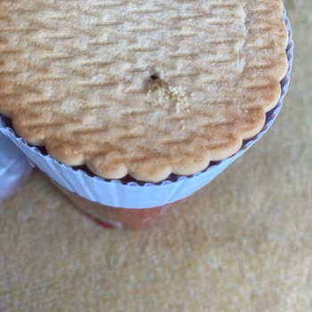 Eti Gıda Paketinde Kurtlanmış Eti Cin