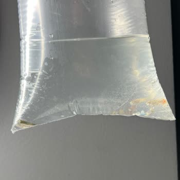 Canlıpetshop Gelen Balıklar Ölü Ve Beyaz Benek