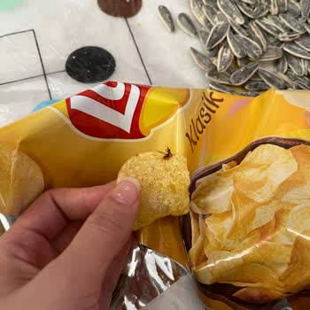 Lays Cipsten Böcek Çıktı