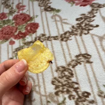 Lays Cipsten Böcek Çıktı