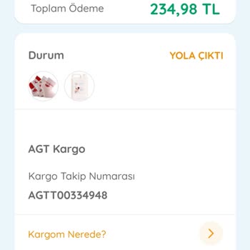 AGT Kurye (aynigunteslim.com) Kargo Teslimatında Yaşanan Sorunlar Ve Müşteri Hizmetleri İletişim Problemi