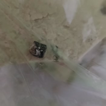 Taşkale Helva Marketten Alınan Helvada Yabancı Cisim Bulunması