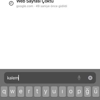 Apple Teknosa'dan Aldığım Apple I Phone 15 Pro Tarayıcılara Girmiyor.