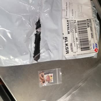 Gümüşrüya Gelmeyen Hediye Kutusu Hakkında