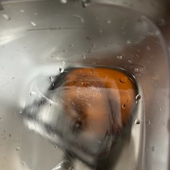 Ouno Service Xiaomi Pet Su Sebili Serviste Zarar Gördü