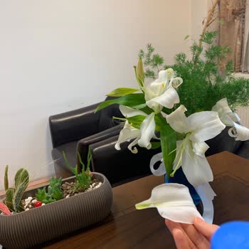 ÇiçekSepeti Eksik Ve Çürümüş Çiçek