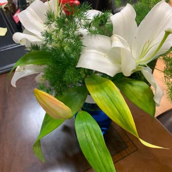 ÇiçekSepeti Eksik Ve Çürümüş Çiçek