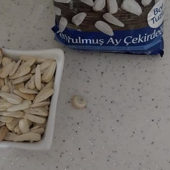 BİM Misafirler Önünde Simbat Sürprizi!