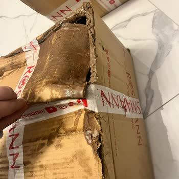 Rossmann Online Alışveriş İlgisizliği