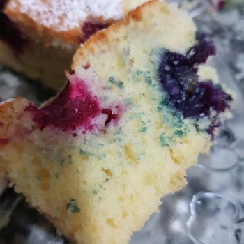 Superfresh Küflü Orman Meyveleri