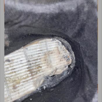 Marcaspor'dan Aldığım Bot Tabanı Çöktü!