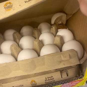 Anadolu Çiftliği Kırık Yumurta Sorunu