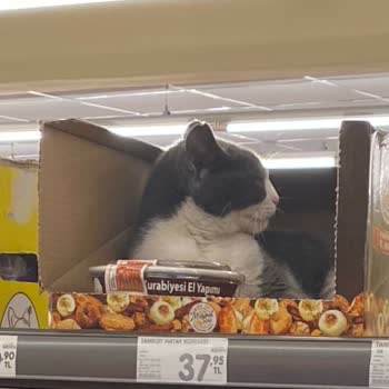 Şok Marketler Hijyen Sorunları