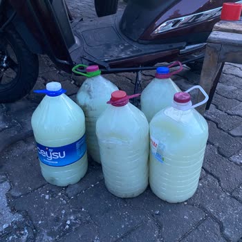 Shell Mazotta Su Çıkması