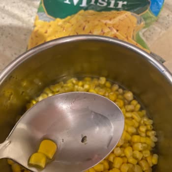 A101 Çokça Marka Mısırdan Böcek Çıktı