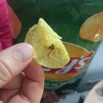 Lays Paketinden Böcek Çıktı