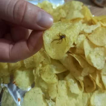 Lays Paketinden Böcek Çıktı