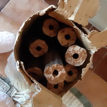 Bauhaus Zehirli Şömine Odunu