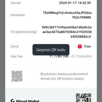 Bitget Kripto Para Transferi Sonrasında Yaşanan Sorunlar