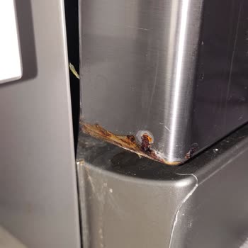 Bosch Paslanma Ve Kabarmalar