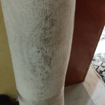 Ender Halı Yıkama (Bursa) Şikayet