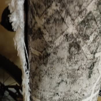 Ender Halı Yıkama (Bursa) Şikayet