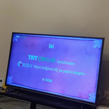 Beko B49L 8900 TV Ekran Mavileşmesi