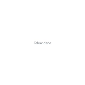 Papara Tekrar Dene Hatası