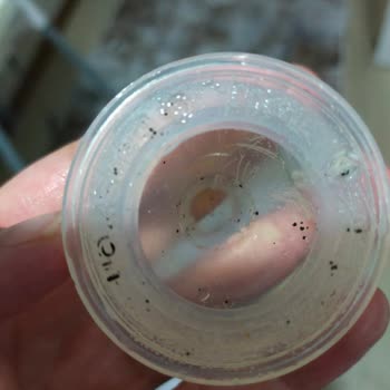 Lansinoh Biberonda Oluşan Lekeler Ve Kalite Hayal Kırıklığı