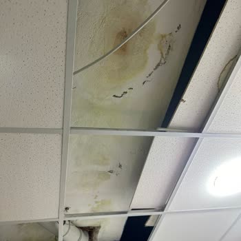 Allianz Sigorta İşi Gücü Bıraktık Allianz Ve Eksperleri Bekliyoruz