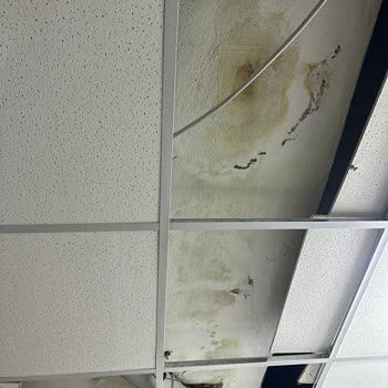 Allianz Sigorta İşi Gücü Bıraktık Allianz Ve Eksperleri Bekliyoruz