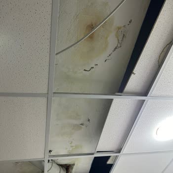 Allianz Sigorta İşi Gücü Bıraktık Allianz Ve Eksperleri Bekliyoruz