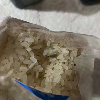 Yayla Bakliyat Yayla Pirinç'de Böceklenme