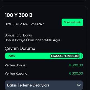 Baywin Bahis Sitesinin Mağduriyeti