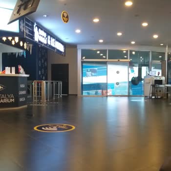 Antalya Aquarium Takdirname Karmaşası Ve Yaş Sınırı Sorunu