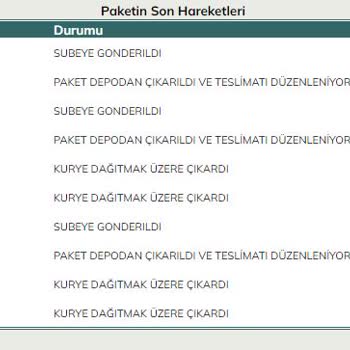 UPS, 8 Gün Geçmesine Rağmen Kargomu İletmiyor