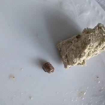 Taşkale Helva Gıda Ürününde Yabancı Cisim Bulunması