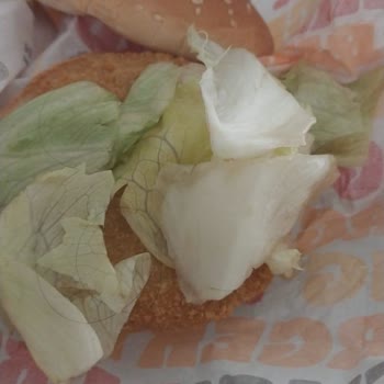 Burger King Hamburger İn İçinden Saç Çıktı